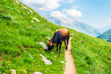 Similar image 22136737