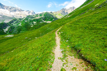 Similar image 22136739