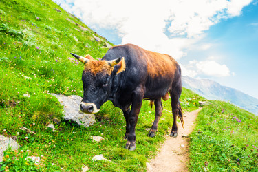 Similar image 22136741