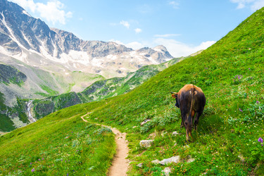 Similar image 22136745