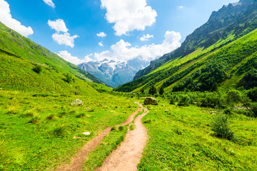 Similar image 22137931