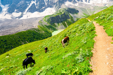 Similar image 22137939