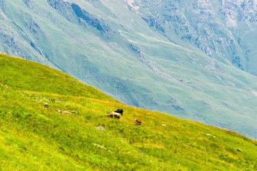 Similar image 22137944