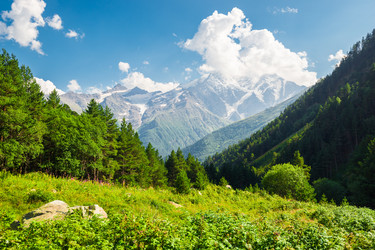 Similar image 22137951