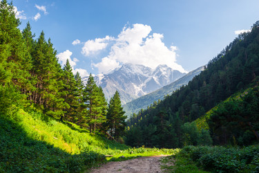 Similar image 22137953