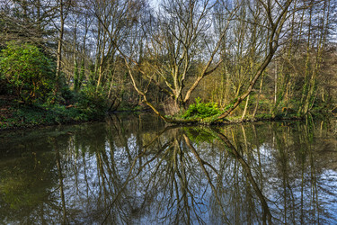 Similar image 22134615