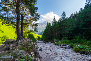 Similar image 22136761