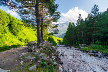 Similar image 22136763