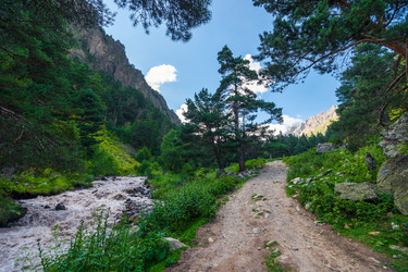 Similar image 22136769