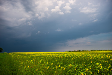 Similar image 22136770