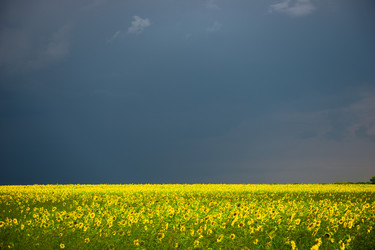 Similar image 22136772