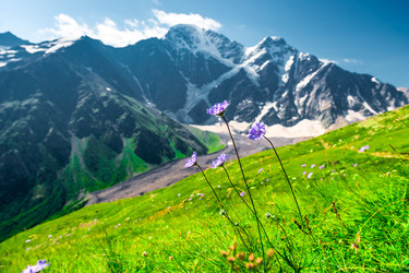 Similar image 22136775