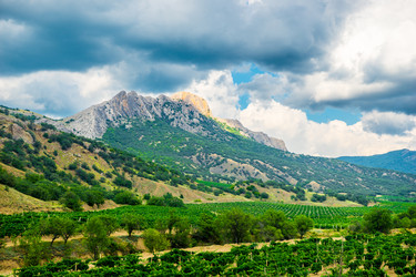 Similar image 22136785