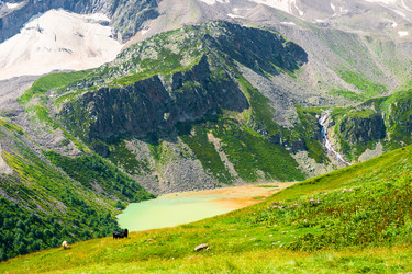 Similar image 22136788