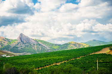 Similar image 22136789