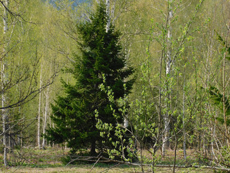 Similar image 22133363