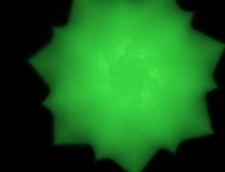 Similar image 22136220