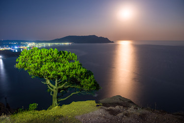 Similar image 22137956