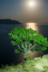 Similar image 22137960