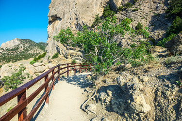 Similar image 22137962