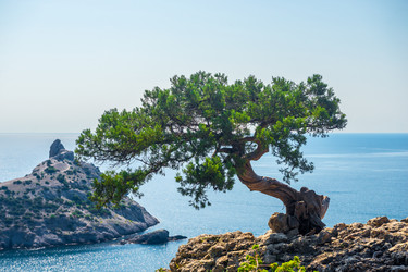 Similar image 22136826