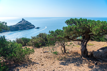 Similar image 22136827