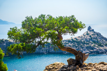 Similar image 22136828