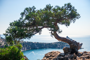 Similar image 22136829