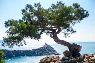 Similar image 22136830