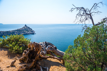 Similar image 22136833