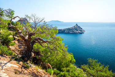 Similar image 22136835