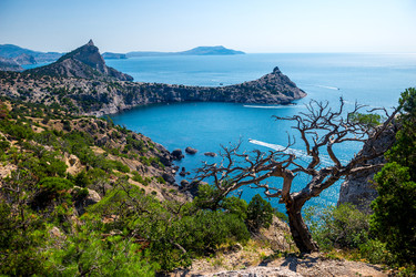 Similar image 22136836