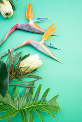 Similar image 22137340