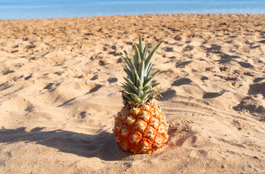 Similar image 22137350