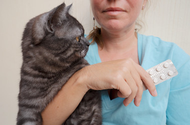 Similar image 22137351