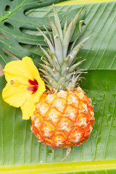 Similar image 22137354