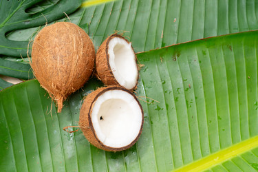 Similar image 22137358