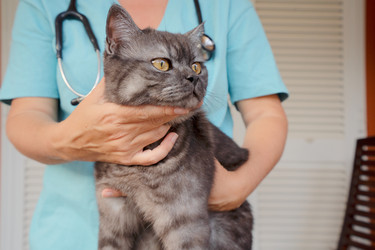 Similar image 22137361