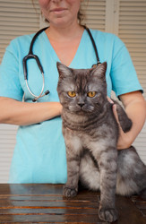 Similar image 22137367