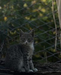 Similar image 22147851