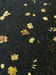 Similar image 22132633