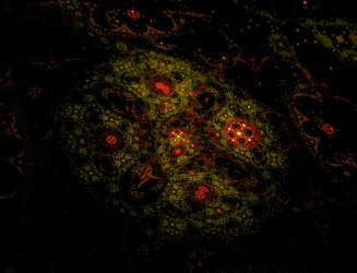 Similar image 22134706