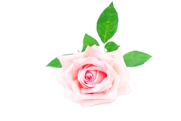 Similar image 22136928