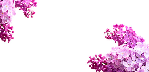 Similar image 22136929