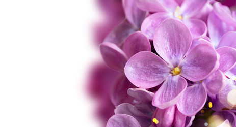 Similar image 22136931