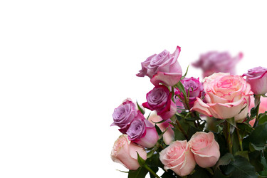 Similar image 22136933