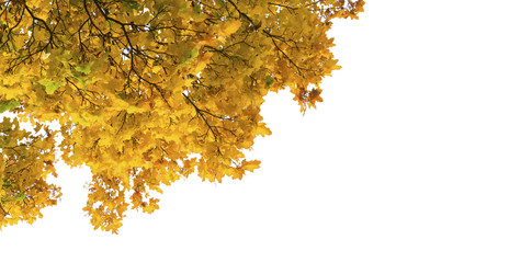 Similar image 22136934