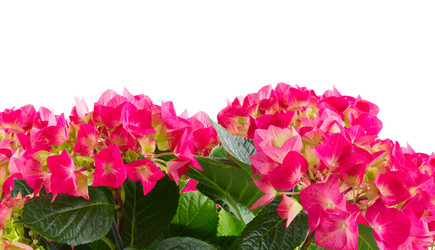 Similar image 22136935