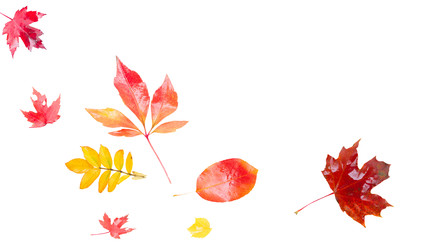 Similar image 22136936