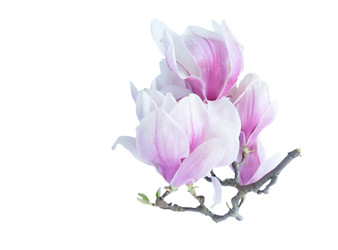 Similar image 22136937